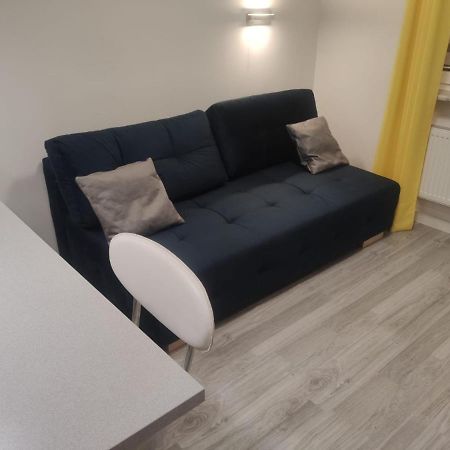 Comfortable Studio Only 20 Minutes From International Conference Center Katowice Best Place For Wuf2022 Eec Tnf Off Etc Siemianowice Śląskie Dış mekan fotoğraf