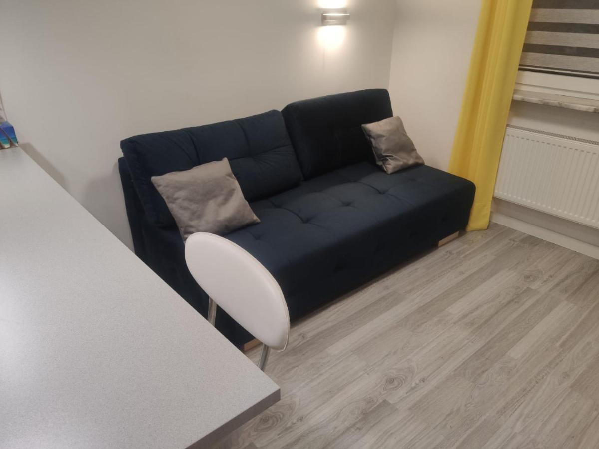 Comfortable Studio Only 20 Minutes From International Conference Center Katowice Best Place For Wuf2022 Eec Tnf Off Etc Siemianowice Śląskie Dış mekan fotoğraf